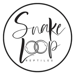Snake Loop Reptiles