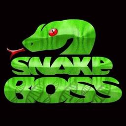Snake Boss