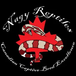 Nagy Reptiles
